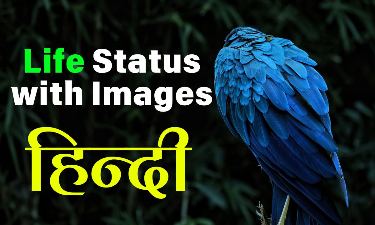 life status in hindi images