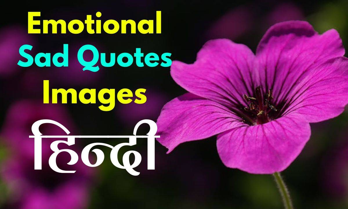 sad quotes in Hindi